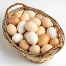 image of Eggs & Egg Products