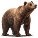  Bear for which will be provided ingredient breakdown