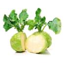  Cabbages | Kohlrabi for which will be provided ingredient breakdown