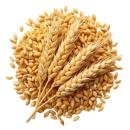  Cereals Wheat | Wheat for which will be provided ingredient breakdown