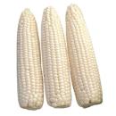  Corn | White Sweet Corn for which will be provided ingredient breakdown