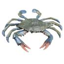  Crustaceans | Crab (Blue Crab) for which will be provided ingredient breakdown