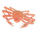  Crustaceans | Crab (Snow Crab, Queen Crab, Opilio Crab) for which will be provided ingredient breakdown