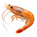  Crustaceans | Shrimp for which will be provided ingredient breakdown