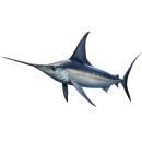  Fish | Swordfish for which will be provided ingredient breakdown