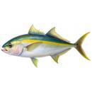  Fish | Yellowtail for which will be provided ingredient breakdown