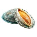  Mollusks | Abalone for which will be provided ingredient breakdown