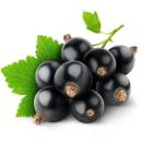  image of Black Currants for which will be provided ingredient breakdown