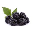  image of Blackberries for which will be provided ingredient breakdown