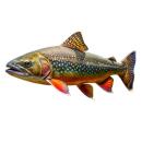 image of Brook Trout