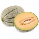  image of Cantaloupe Melon for which will be provided ingredient breakdown