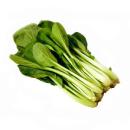  image of Chinese Broccoli (Gai Lan) for which will be provided ingredient breakdown