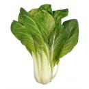 image of Chinese Cabbage (Bok Choy)