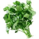  image of Cilantro (Corriander) for which will be provided ingredient breakdown