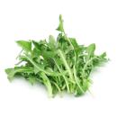  image of Dandelion Greens for which will be provided ingredient breakdown