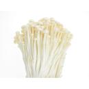  image of Enoki Mushrooms for which will be provided ingredient breakdown