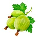 image of Gooseberries