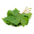  image of Grape Leaves for which will be provided ingredient breakdown