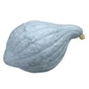  image of Hubbard Squash for which will be provided ingredient breakdown