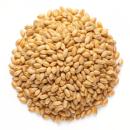 image of Hulled Barley