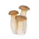  image of King Oyster Mushrooms (Pleurotus eryngii) for which will be provided ingredient breakdown