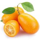 image of Kumquat