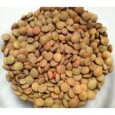 image of Lentils, Dry