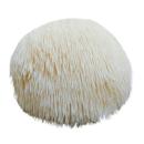  image of Lion's Mane Mushrooms (Hericium erinaceus) for which will be provided ingredient breakdown