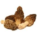 image of Morel Mushrooms (Morchella)