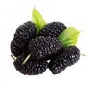 image of Mulberries