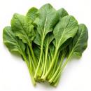  image of Mustard Spinach (Tendergreen) for which will be provided ingredient breakdown