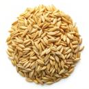 image of Oats