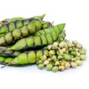 image of Pigeon Peas, Immature Seeds