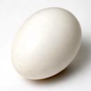  image of Raw Goose Egg for which will be provided ingredient breakdown