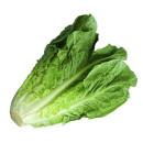  image of Romaine Lettuce for which will be provided ingredient breakdown