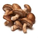 image of Shiitake Mushrooms (Lentinula edodes)