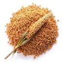  image of Sorghum Grain for which will be provided ingredient breakdown