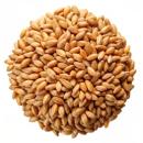  image of Spelt for which will be provided ingredient breakdown