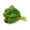 image of Spinach